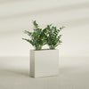 Milano Medium Narrow Rectangle Fiberglass Planter - 24 in x 10 in x 24 in - Satin Beige - Satin Beige,24 in x 10 in x 24 in
