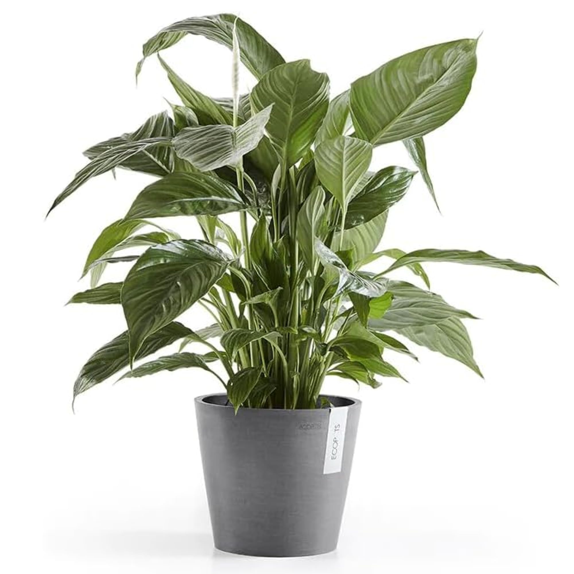 Amsterdam Small Round Planter - 8 in x 8 in x 7 in - Grey - Grey,8 in x 8 in x 7 in,Planter Only