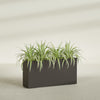 Hollywood Extra Large Narrow Rectangle Fiberglass Planter - 48 in x 12 in x 24 in - Matte Brown - Matte Brown,48 in x 12 in x 24 in