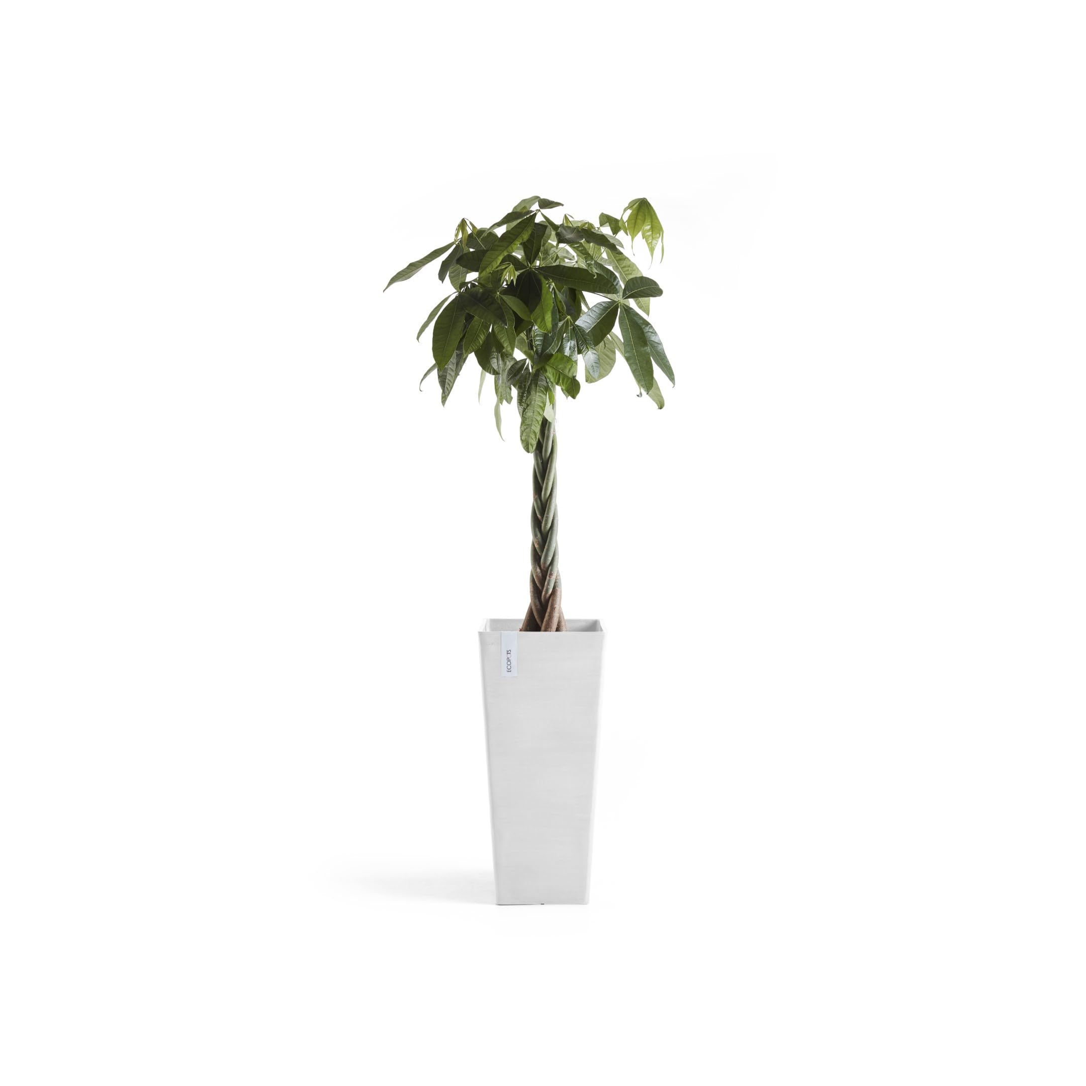 Rotterdam High Medium Square Planter - 12.6 in x 12.6 in x 27.5 in - Pure White - Pure White,12.5 in x 12.5 in x 27.5 in,Planter Only