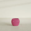 Fishbowl Small Round Fiberglass Planter - 16 in x 16 in x 14 in - Gloss Pink Violet - Gloss Pink Violet,16 in x 16 in x 14 in