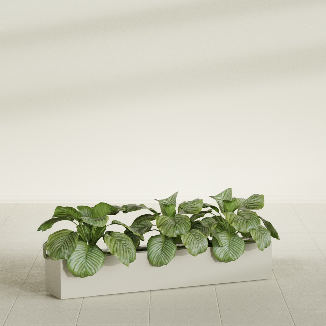 Salon Large Tall Rectangle Fiberglass Planter - 48 in x 8 in x 8 in - Satin Beige - Satin Beige,48 in x 8 in x 8 in