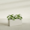Miami Large Narrow Rectangle Fiberglass Planter - 36 in x 12 in x 18 in - Satin Beige - Satin Beige,36 in x 12 in x 18 in
