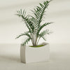 Seoul Large Curved Abstract Fiberglass Planter - 36 in x 16 in x 24 in - Satin Beige - Satin Beige,36 in x 16 in x 24 in