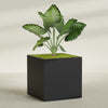 Montroy Extra Large Cube Square Fiberglass Planter - 60 in x 60 in x 60 in - Matte Black - Matte Black,60 in x 60 in x 60 in