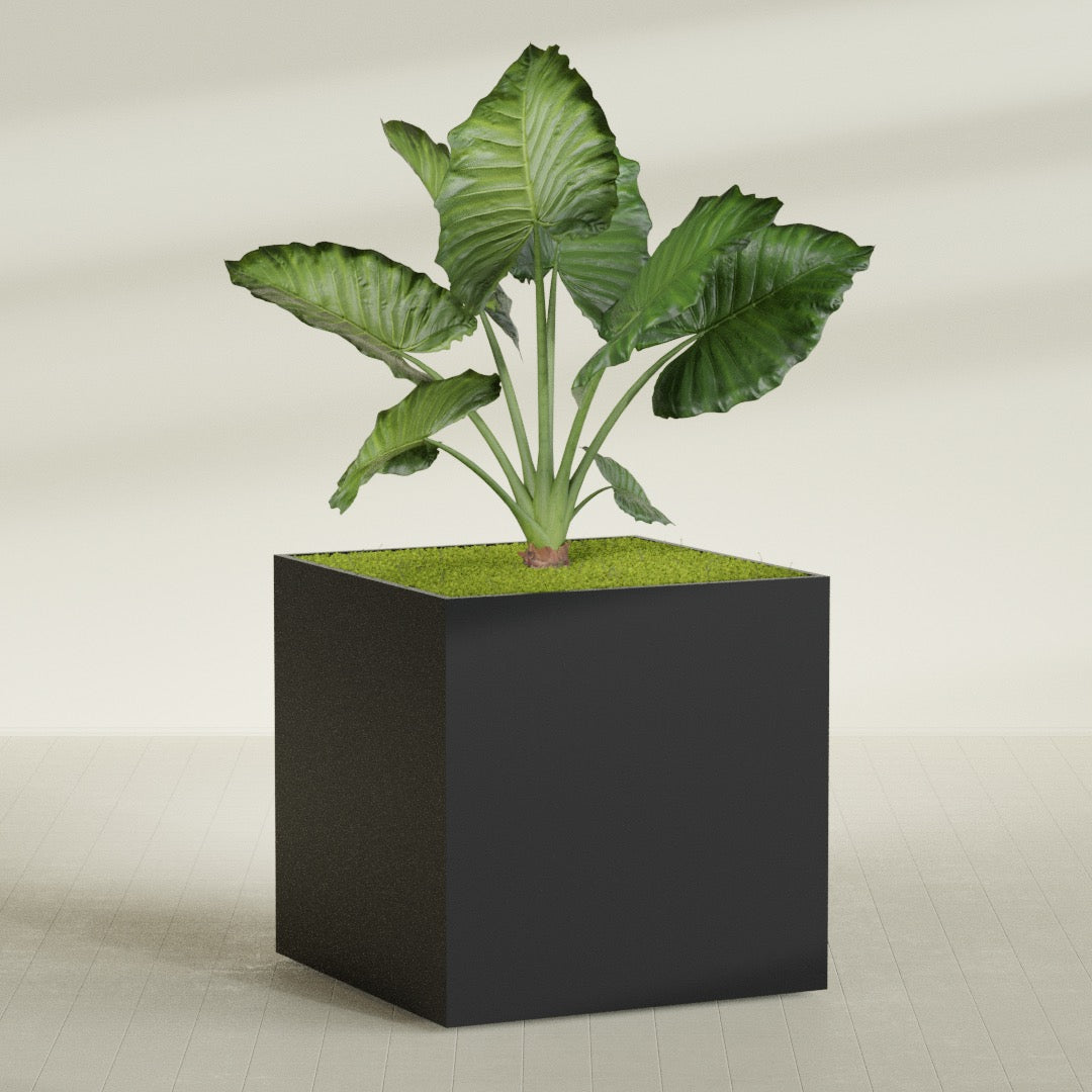 Montroy Extra Large Cube Square Fiberglass Planter - 60 in x 60 in x 60 in - Matte Black - Matte Black,60 in x 60 in x 60 in