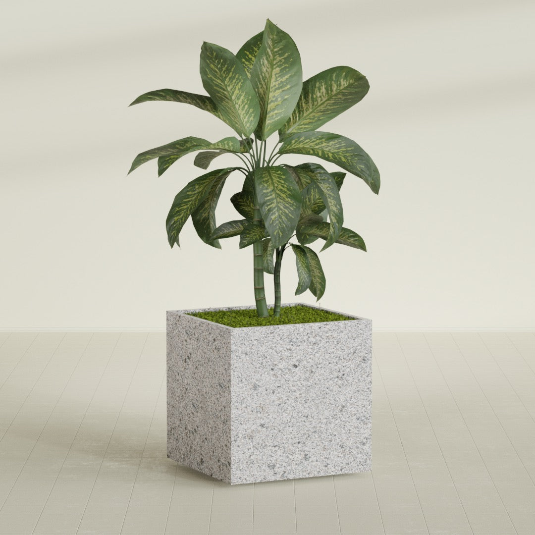 ProTone Fiberglass Premium Finish Large Cube Square Planter - 36 in x 36 in x 36 in - StoneLight - Greystone - StoneLight - Greystone,36 in x 36 in x 36 in