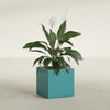 Montroy Medium Cube Square Fiberglass Planter - 20 in x 20 in x 20 in - Satin Sea Foam - Satin Sea Foam,20 in x 20 in x 20 in