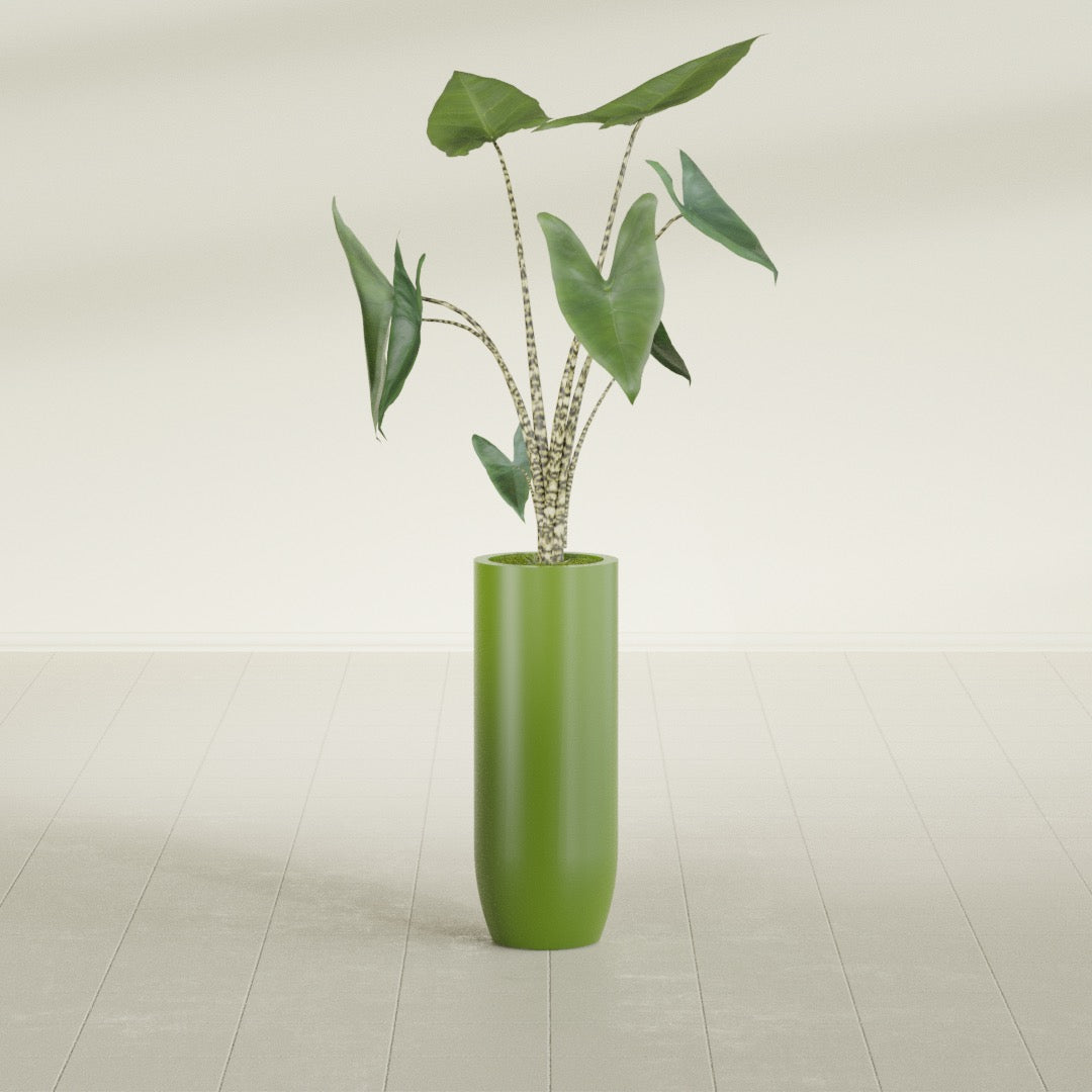 Saint Tropez Large Tall Round Fiberglass Planter - 12 in x 12 in x 32 in - Satin Green - Satin Green,12 in x 12 in x 32 in
