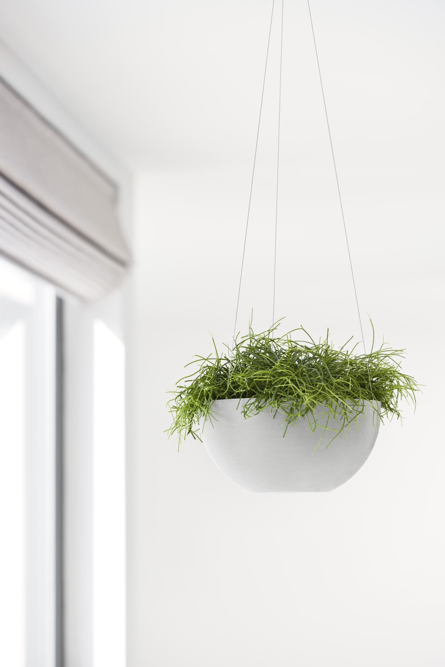 Hanging Brussels Small Bowl Planter - 10.5 in x 10.5 in x 5 in - White Grey - White Grey,10.5 in x 10.5 in x 5 in