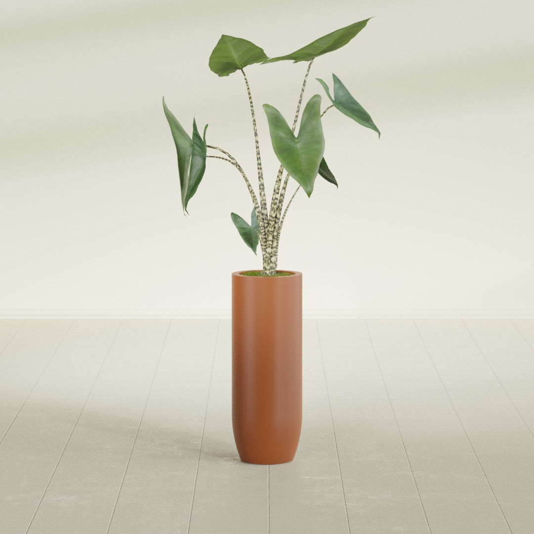 Saint Tropez Large Tall Round Fiberglass Planter - 12 in x 12 in x 32 in - Matte Terracotta - Matte Terracotta,12 in x 12 in x 32 in