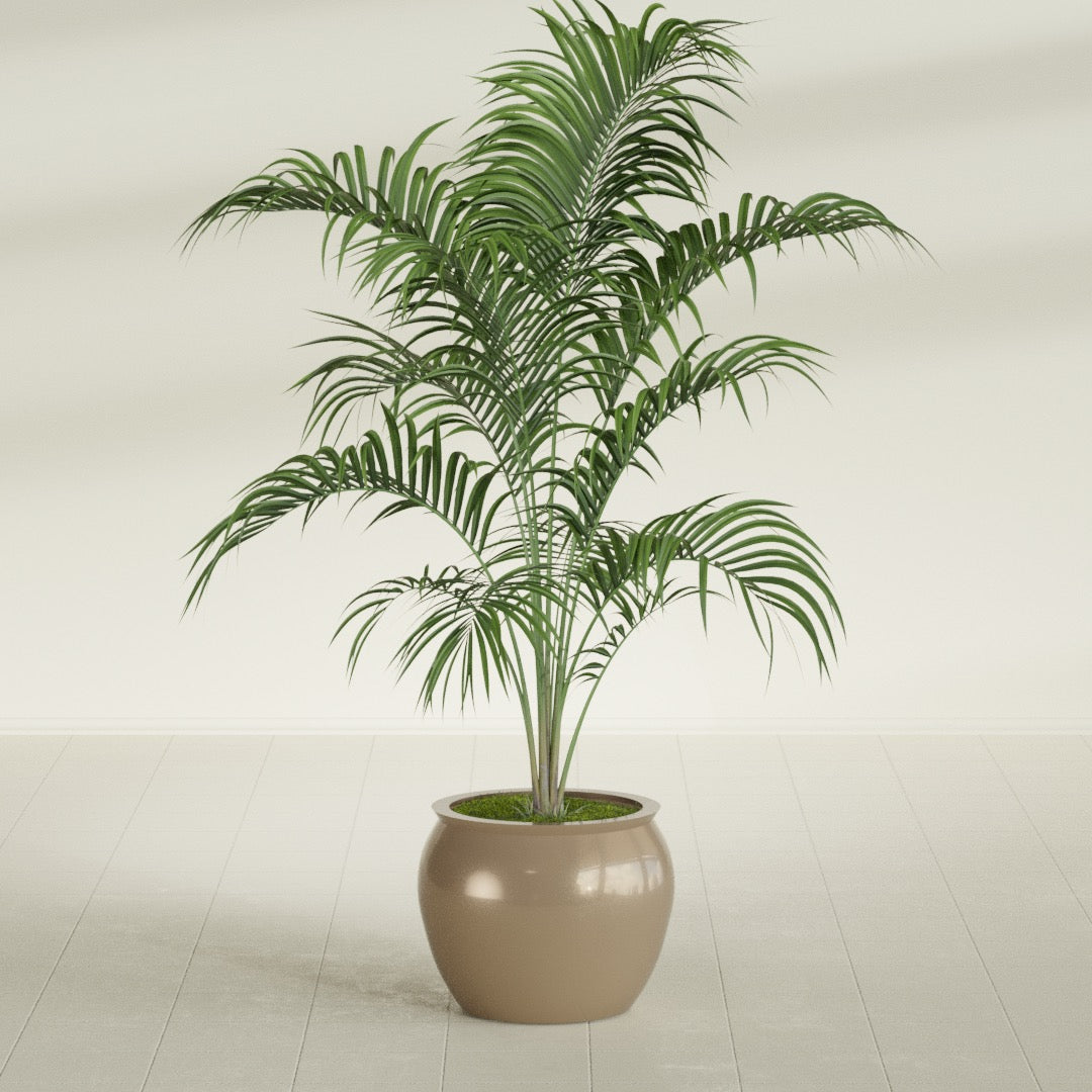 Fishbowl Small Round Fiberglass Planter - 16 in x 16 in x 14 in - Metallic Gold - Metallic Gold,16 in x 16 in x 14 in