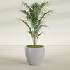Wannsee Large Round Fiberglass Planter - 33 in x 33 in x 29 in - Metallic Silver - Metallic Silver,33 in x 33 in x 29 in
