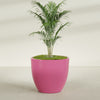 Wannsee Extra Large Round Fiberglass Planter - 50 in x 50 in x 44 in - Gloss Pink Violet - Gloss Pink Violet,50 in x 50 in x 44 in