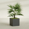 Montroy Large Cube Square Fiberglass Planter - 32 in x 32 in x 32 in - Matte Charcoal - Matte Charcoal,32 in x 32 in x 32 in