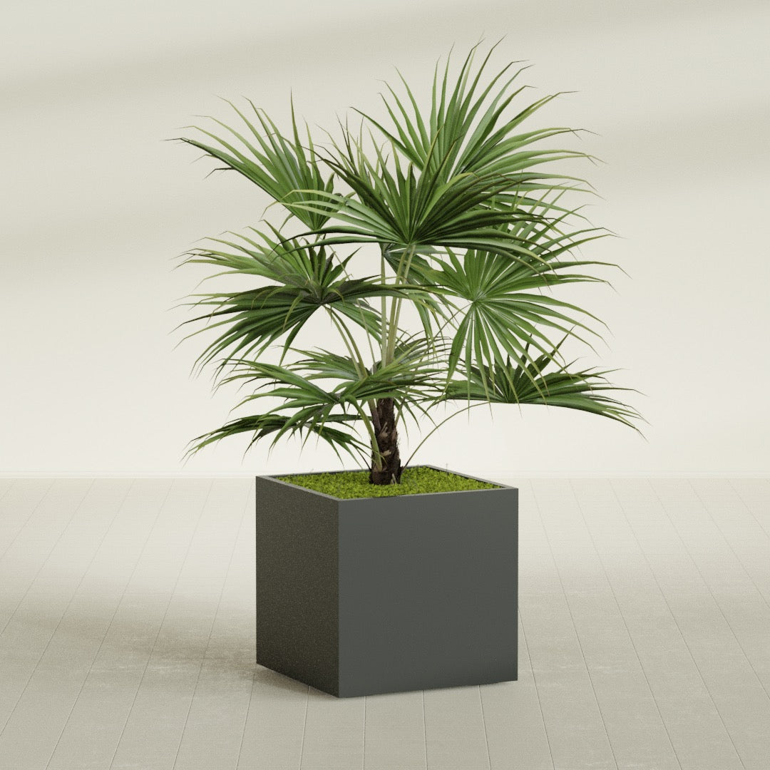 Montroy Large Cube Square Fiberglass Planter - 32 in x 32 in x 32 in - Matte Charcoal - Matte Charcoal,32 in x 32 in x 32 in