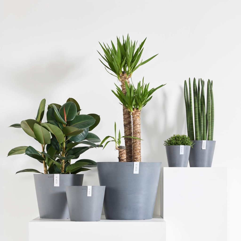 Amsterdam - 8in diam. x 7in