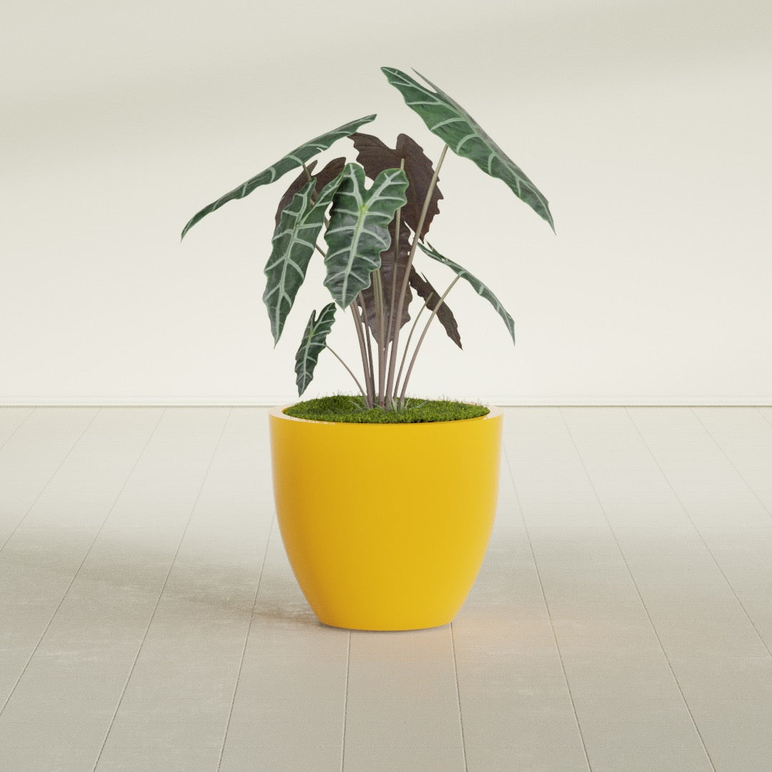 Wannsee Medium Round Fiberglass Planter - 27 in x 27 in x 24 in - Gloss Saffron - Gloss Saffron,27 in x 27 in x 24 in