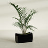 Seoul Large Curved Abstract Fiberglass Planter - 32 in x 12 in x 18 in - Gloss Black - Gloss Black,32 in x 12 in x 18 in