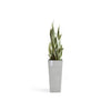 Rotterdam Medium Tall Square Planter - 12.6 in x 12.6 in x 27.5 in - White Grey - White Grey,12.5 in x 12.5 in x 27.5 in,Planter Only