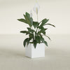 Montroy Small Cube Square Fiberglass Planter - 16 in x 16 in x 16 in - Matte White - Matte White,16 in x 16 in x 16 in