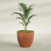 Wannsee Large Round Fiberglass Planter - 44 in x 44 in x 39 in - Matte Terracotta - Matte Terracotta,44 in x 44 in x 39 in