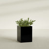 Brisbane Large Rectangle Fiberglass Planter - 24 in x 24 in x 32 in - Gloss Black - Gloss Black,24 in x 24 in x 32 in