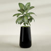 Saigon Extra Large Tapered Round Planter - 19 in x 24 in x 42 in - Gloss Black - Gloss Black,19.2 in x 24.2 in x 42 in