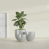 Alzira Large Round Fiberglass Planter - 30 in x 30 in x 28 in - Metallic Silver - Metallic Silver,30 in x 30 in x 28 in