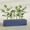 Torino Extra Large Wide Rectangle Fiberglass Planter - 72 in x 24 in x 18 in - Matte Cobalt Blue - Matte Cobalt Blue,72 in x 24 in x 18 in