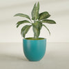 Alzira Large Round Fiberglass Planter - 30 in x 30 in x 28 in - Satin Sea Foam - Satin Sea Foam,30 in x 30 in x 28 in