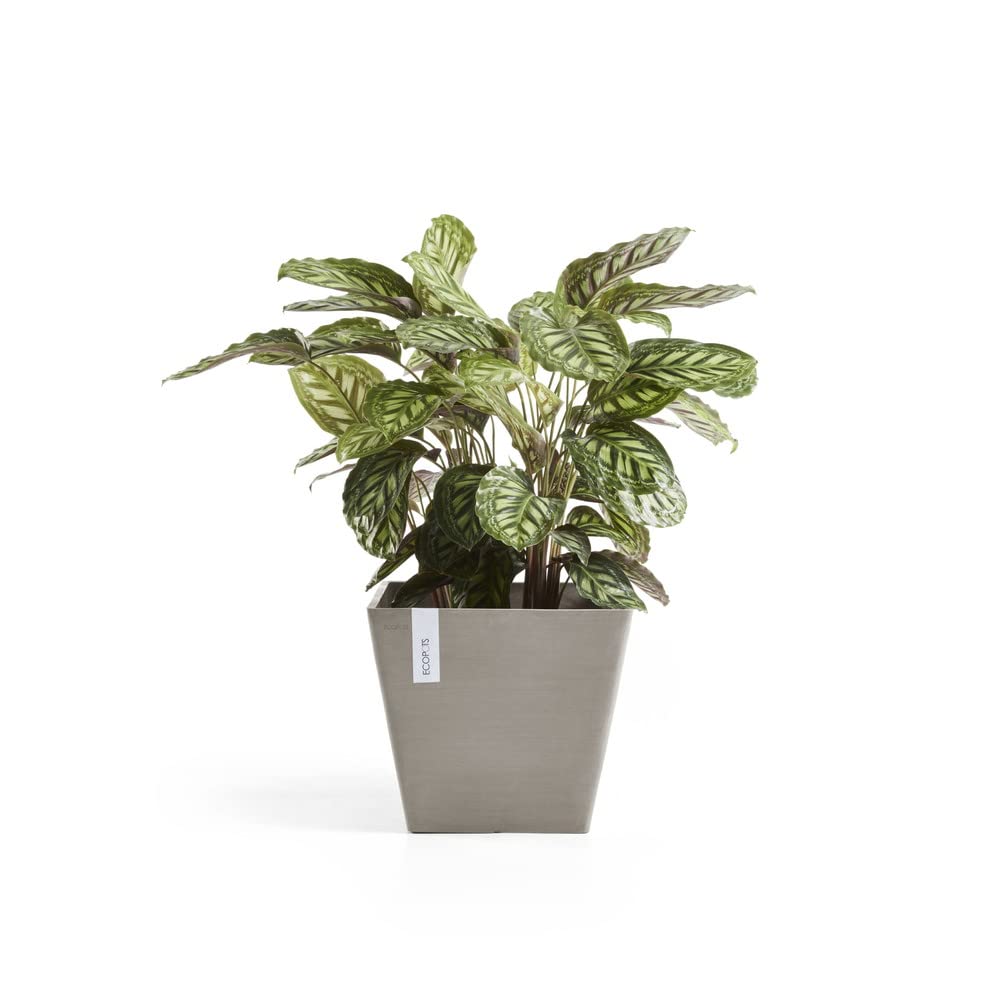 Rotterdam Small Square Planter - 19.75 in x 19.75 in x 17.25 in - Taupe - Taupe,19.75 in x 19.75 in x 17.25 in,Planter Only