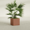 Montroy Medium Cube Square Fiberglass Planter - 24 in x 24 in x 24 in - Matte Terracotta - Matte Terracotta,24 in x 24 in x 24 in