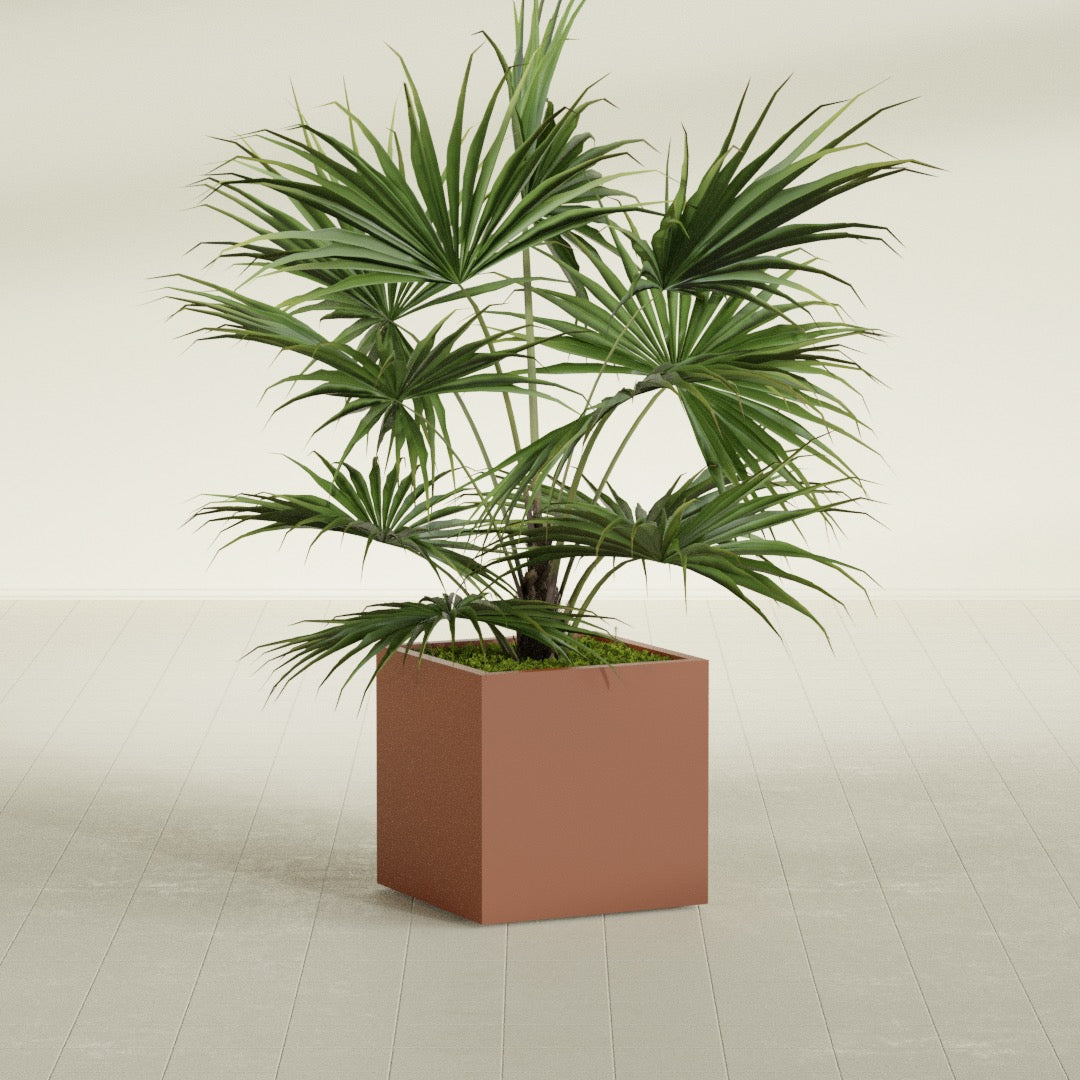 Montroy Medium Cube Square Fiberglass Planter - 24 in x 24 in x 24 in - Matte Terracotta - Matte Terracotta,24 in x 24 in x 24 in