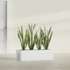 Tiergarden Large Long Over The Railing Rectangle Fiberglass Planter - 36 in x 12 in x 10 in - Gloss White - Gloss White,36 in x 12 in x 10 in