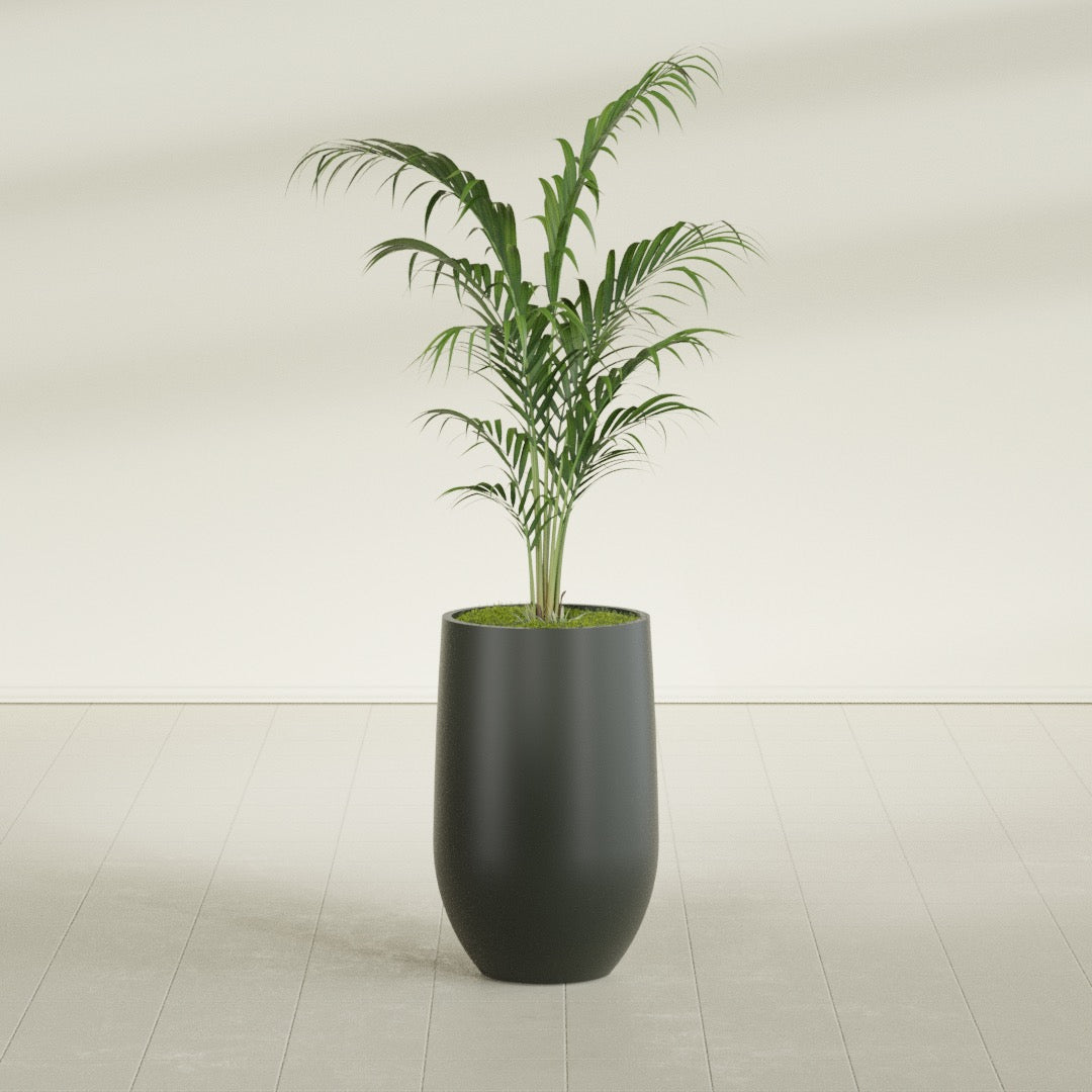 Westfield - 15in diam. x 24in - Matte Charcoal - Matte Charcoal,15 in diam. x 24 in H