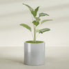 Rio Grande Medium Round Fiberglass Planter - 22 in x 22 in x 22 in - Metallic Silver - Metallic Silver,22 in x 22 in x 22 in