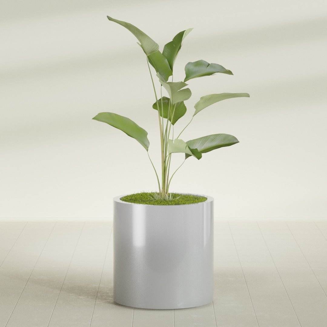 Rio Grande Medium Round Fiberglass Planter - 22 in x 22 in x 22 in - Metallic Silver - Metallic Silver,22 in x 22 in x 22 in