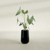 Tall Hayden Medium Round Fiberglass Planter - 18 in x 18 in x 29 in - Gloss Black - Gloss Black,18 in x 18 in x 29 in