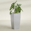 Toulan Large Tall Tapered Square Fiberglass Planter - 20 in x 20 in x 42 in - Metallic Silver - Metallic Silver,20 in x 20 in x 42 in