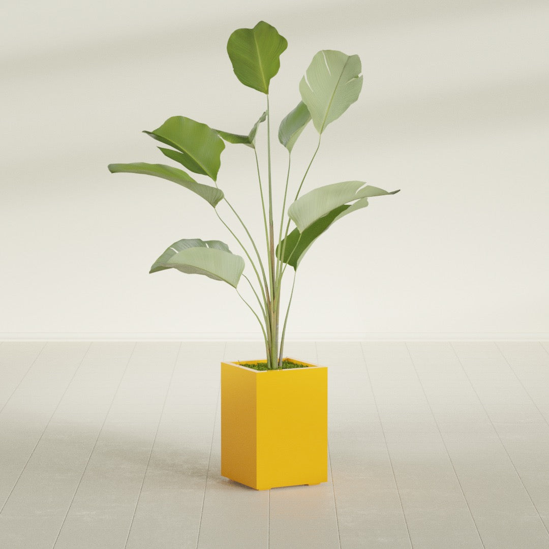 Tolga Medium Rectangle Fiberglass Planter - 16 in x 16 in x 24 in - Gloss Saffron - Gloss Saffron,16 in x 16 in x 24 in