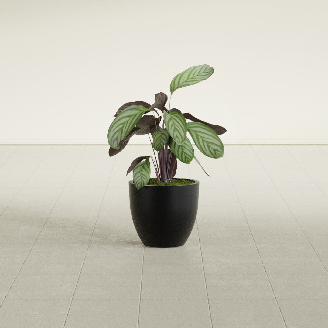 Wannsee Small Round Fiberglass Planter - 15 in x 15 in x 13 in - Matte Black - Matte Black,15 in x 15 in x 13 in