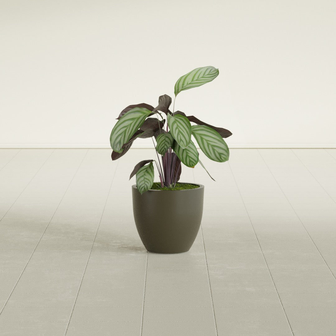 Wannsee Small Round Fiberglass Planter - 15 in x 15 in x 13 in - Matte Bronze - Matte Bronze,15 in x 15 in x 13 in