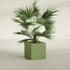 Montroy Medium Cube Square Fiberglass Planter - 24 in x 24 in x 24 in - Satin Green - Satin Green,24 in x 24 in x 24 in