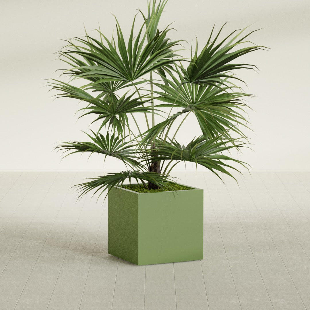 Montroy Medium Cube Square Fiberglass Planter - 24 in x 24 in x 24 in - Satin Green - Satin Green,24 in x 24 in x 24 in