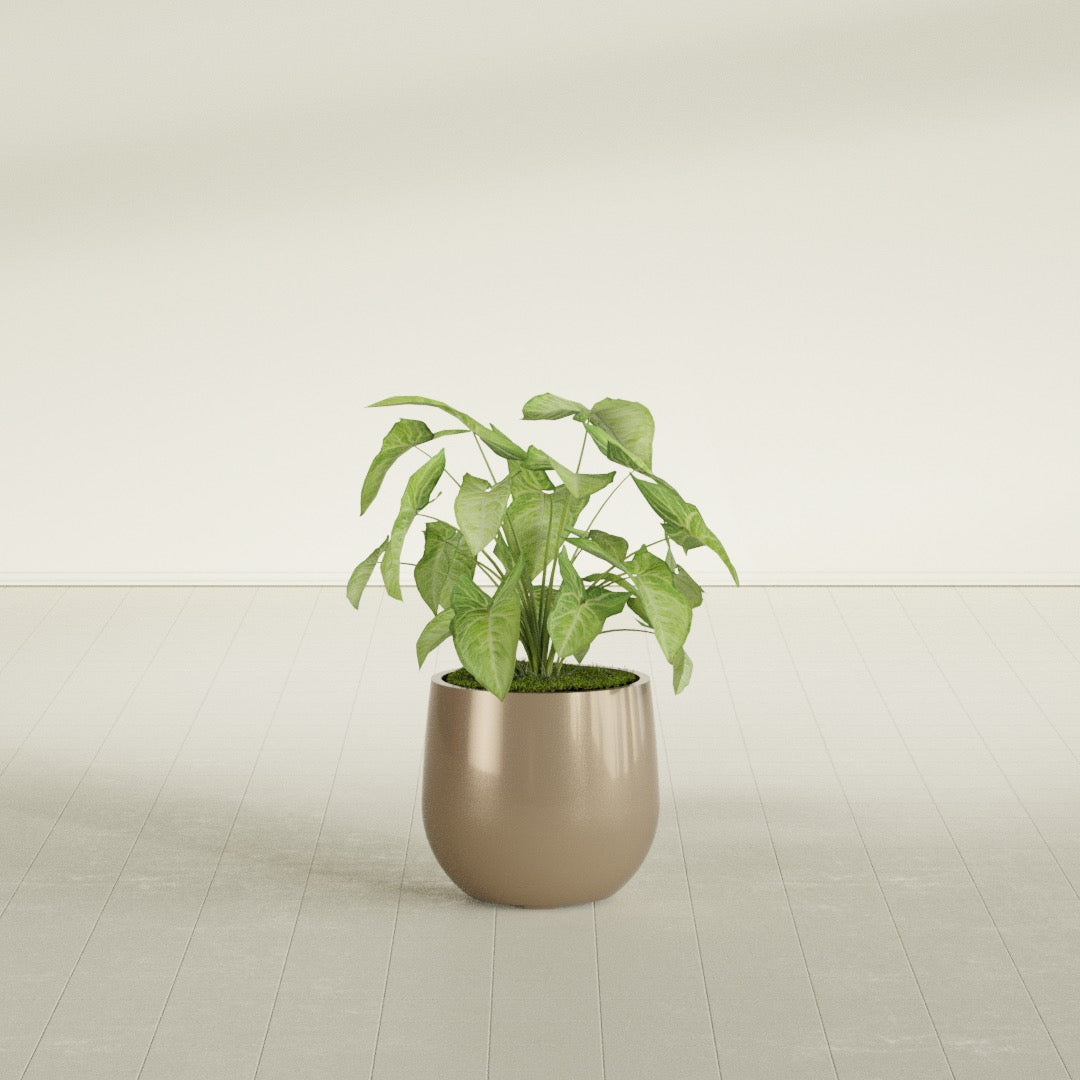 Westfield - 15in diam. x 14in - Metallic Gold - Metallic Gold,15 in diam. x 14 in H