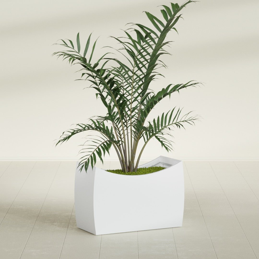 Seoul Large Curved Abstract Fiberglass Planter - 36 in x 16 in x 24 in - Gloss White - Gloss White,36 in x 16 in x 24 in