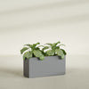 Miami Large Narrow Rectangle Fiberglass Planter - 36 in x 12 in x 18 in - Metallic Gunmetal - Metallic Gunmetal,36 in x 12 in x 18 in