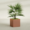Montroy Large Cube Square Fiberglass Planter - 32 in x 32 in x 32 in - Matte Terracotta - Matte Terracotta,32 in x 32 in x 32 in