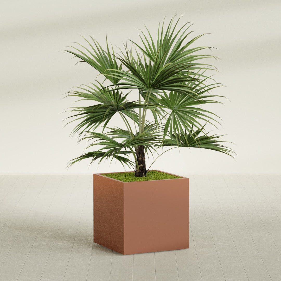 Montroy Large Cube Square Fiberglass Planter - 32 in x 32 in x 32 in - Matte Terracotta - Matte Terracotta,32 in x 32 in x 32 in